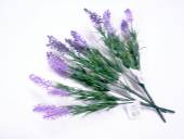 Lavender bush - 3/cols*