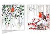 Box 10, square robin Christmas cards.