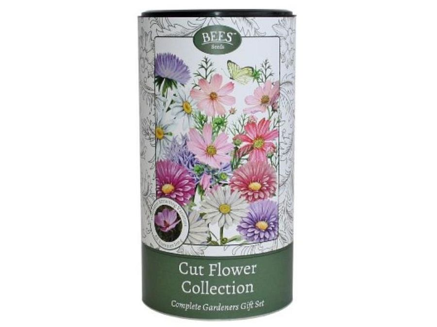 Cut flower gift set**
(incs seeds/pots/soil)