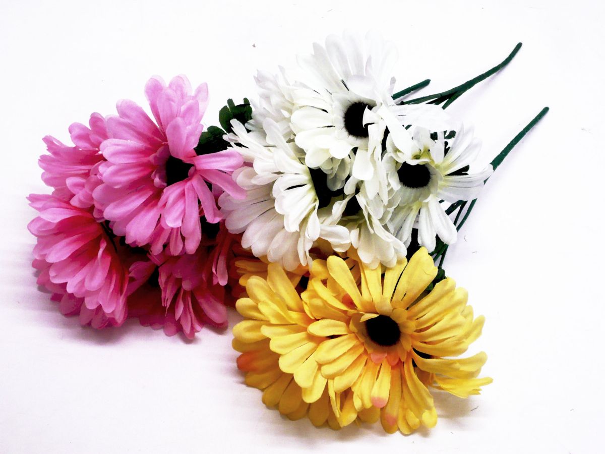 Flowers : Gerbera bush - 3/cols