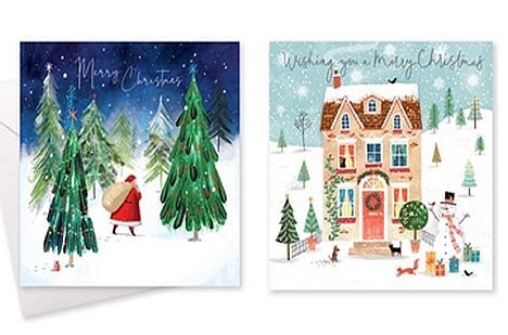 Box 10, square house/Santa Christmas cards.