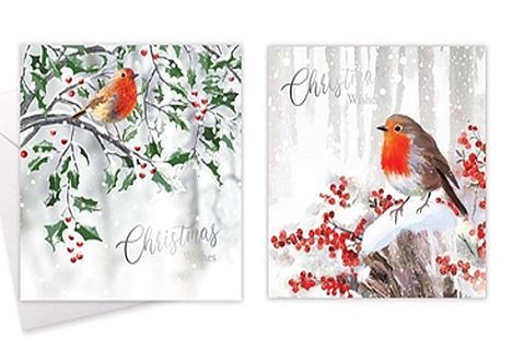 Box 10, square robin Christmas cards.